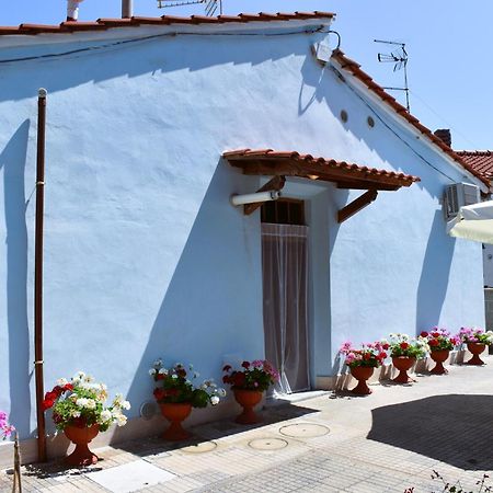Villino La Perla Azzurra- Marina Di Pisa Villa Ngoại thất bức ảnh
